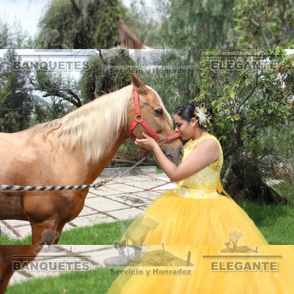 CABALLOS BANQUETES (1)