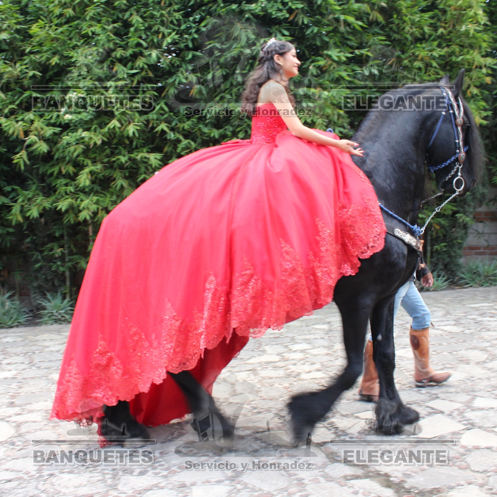 CABALLOS BANQUETES (11)