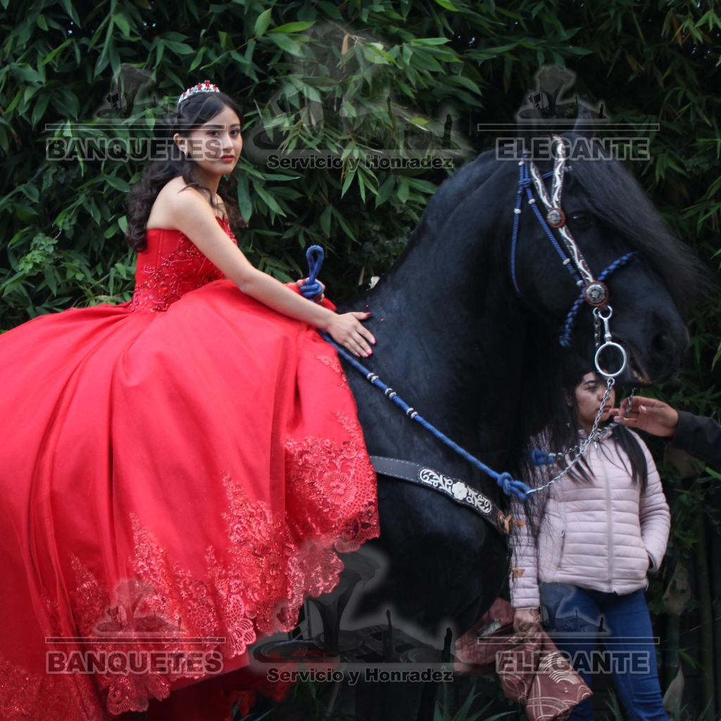 CABALLOS BANQUETES (12)