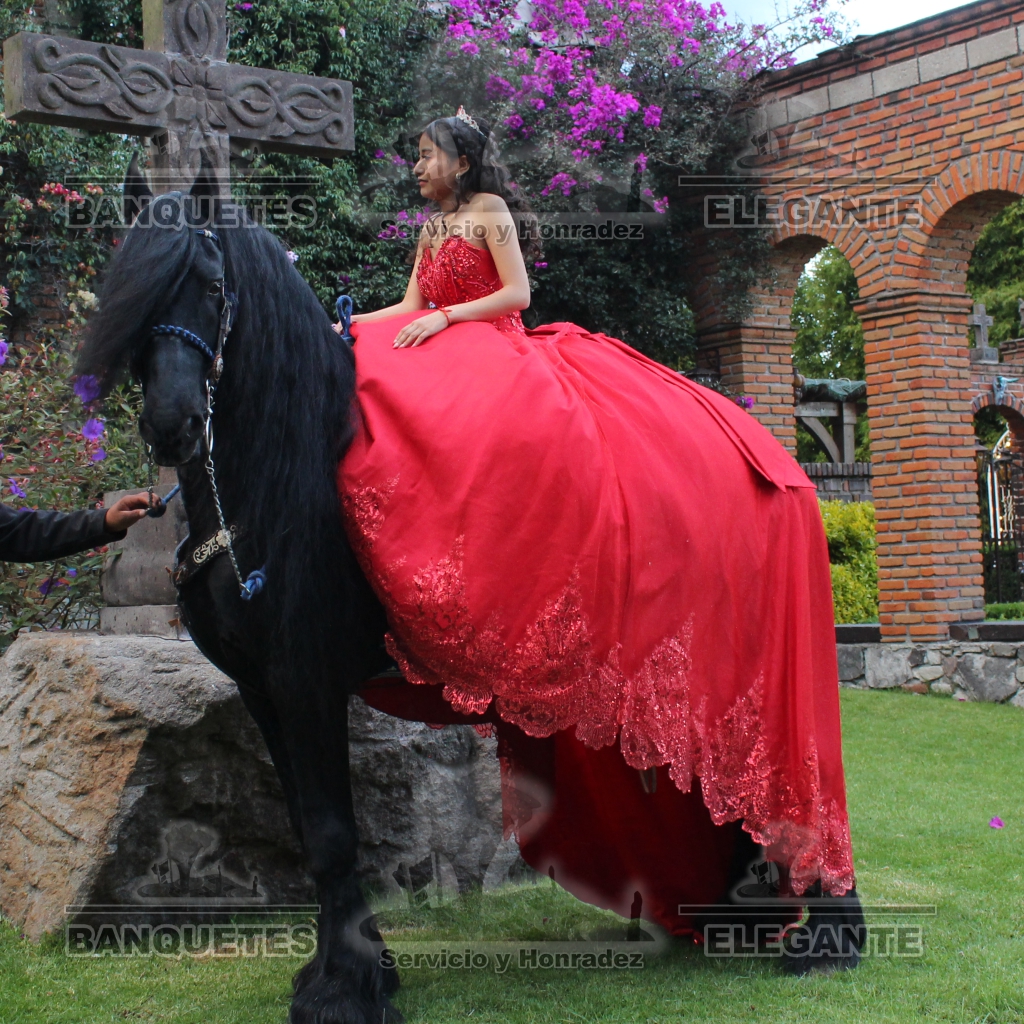 CABALLOS BANQUETES (13)