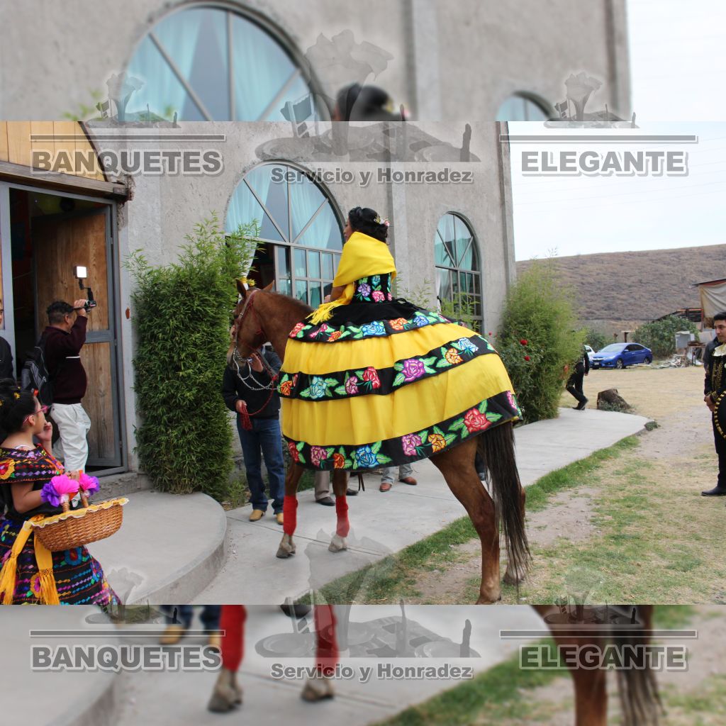 CABALLOS BANQUETES (14)