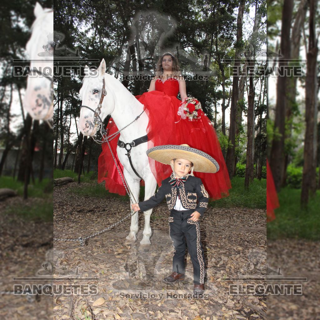 CABALLOS BANQUETES (15)