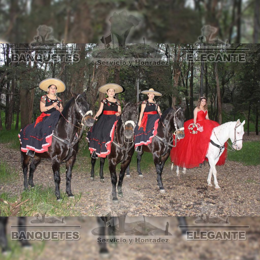 CABALLOS BANQUETES (16)