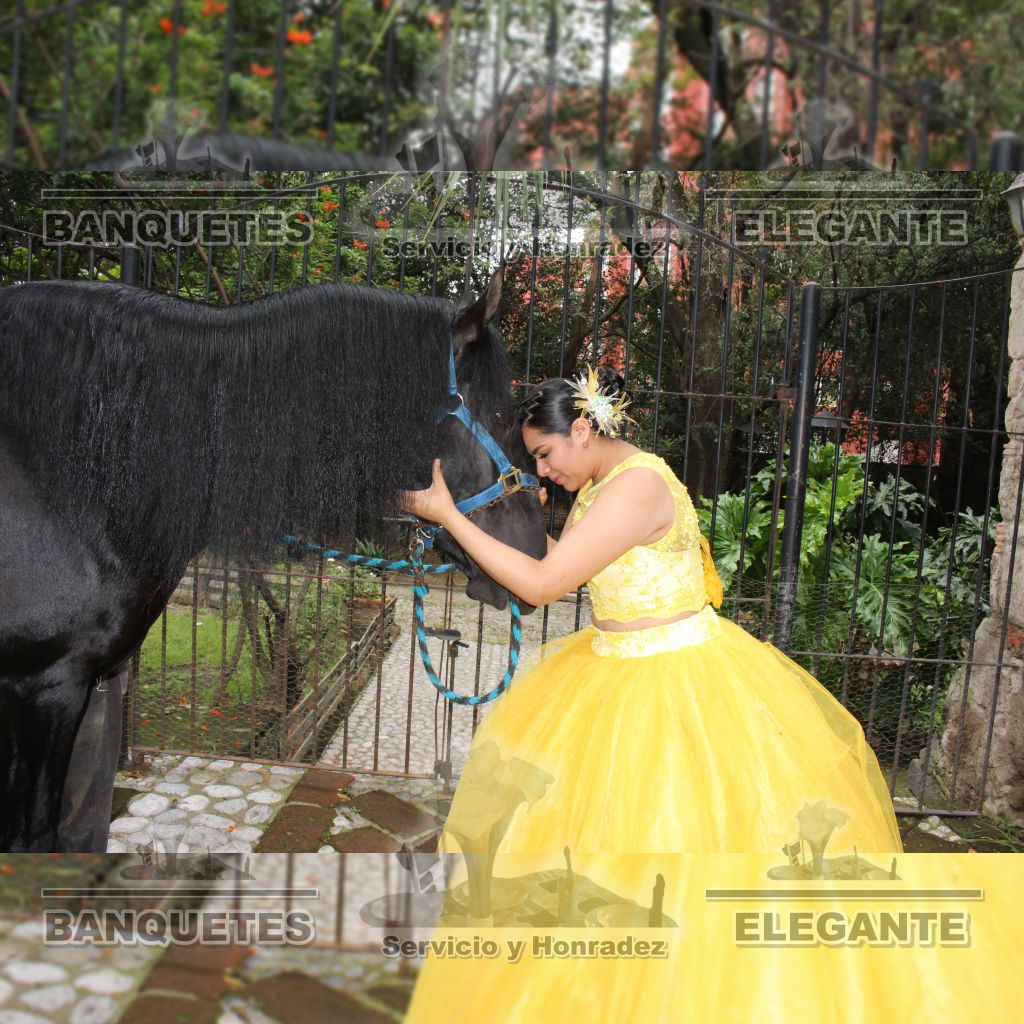 CABALLOS BANQUETES (3)