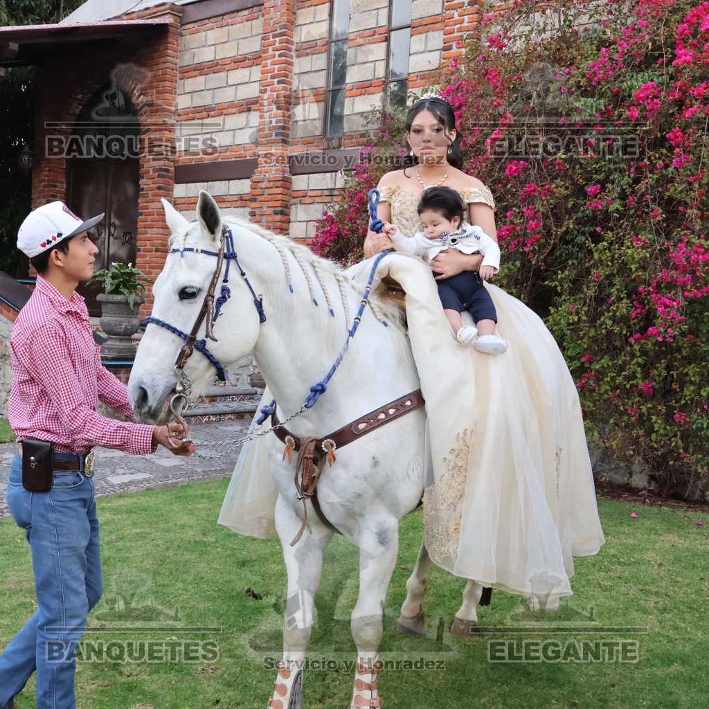 CABALLOS BANQUETES (9)