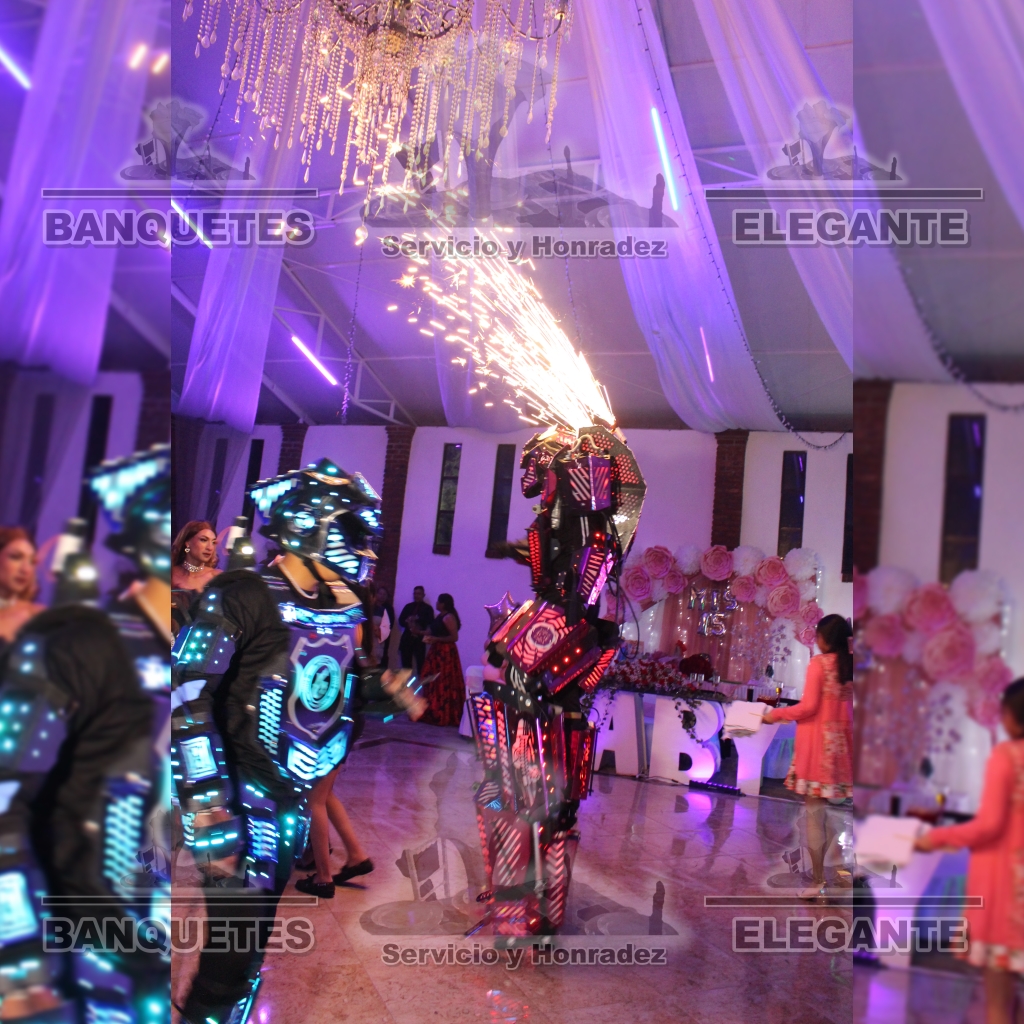 ROBOTS BANQUETES (6)